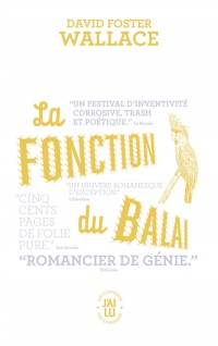 Fonction du balai (la)
