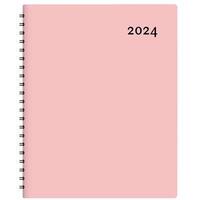 Agenda W.Maxwell 2024 "Maxi" rose