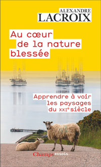 Au coeur de la nature blessee : apprendre a voir  les paysages du